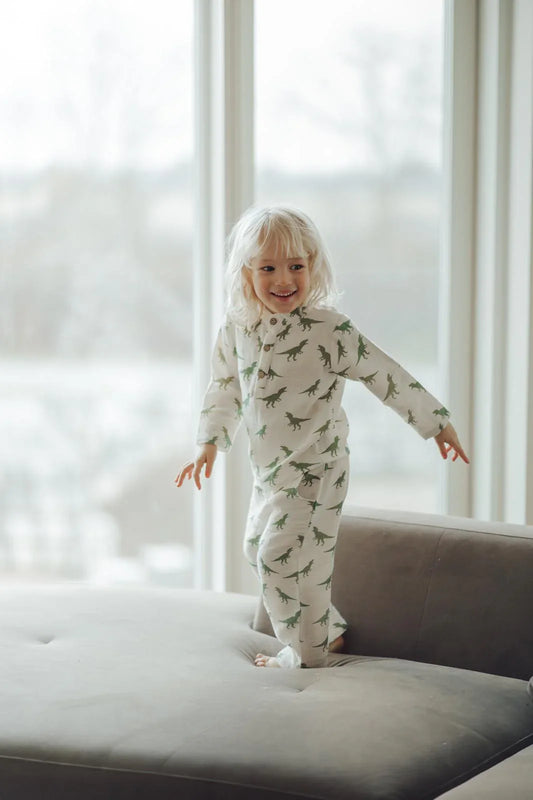 Chemise Dinoverse Petits Dinosaures