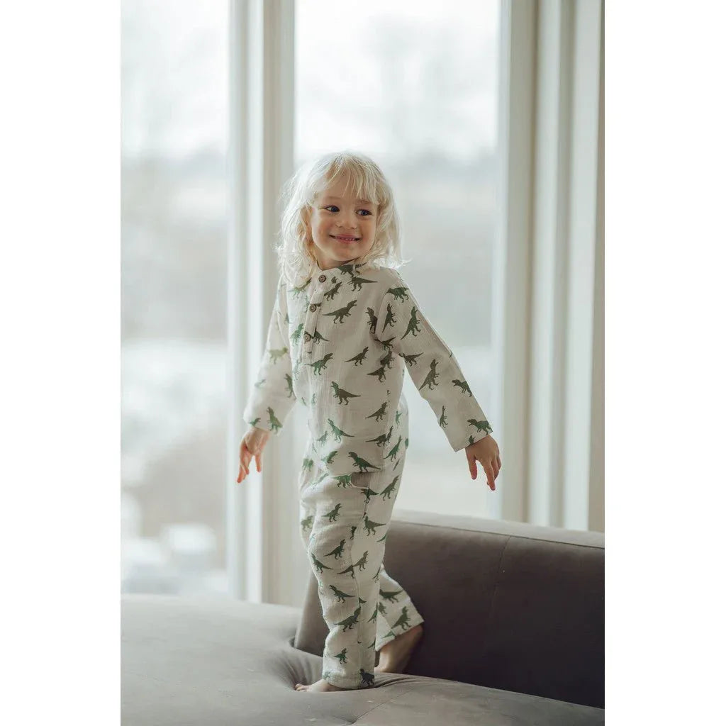 Chemise Dinoverse Petits Dinosaures