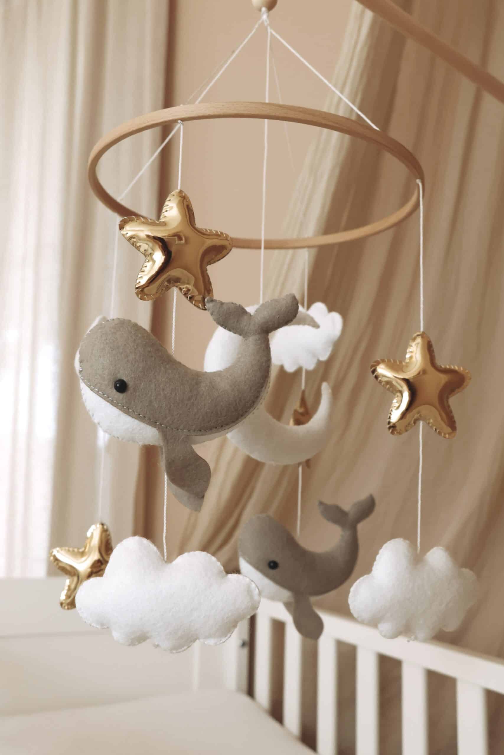 Little whales boxmobile