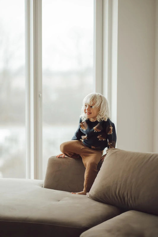 Enfant blond portant un pull bleu motif hérisson, assis sur un canapé près d'une fenêtre lumineuse.
